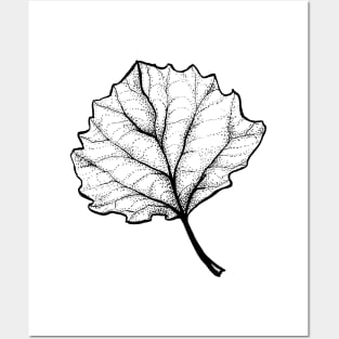 Monochrome Leaf Stipple Shaded Ink Drawing Posters and Art